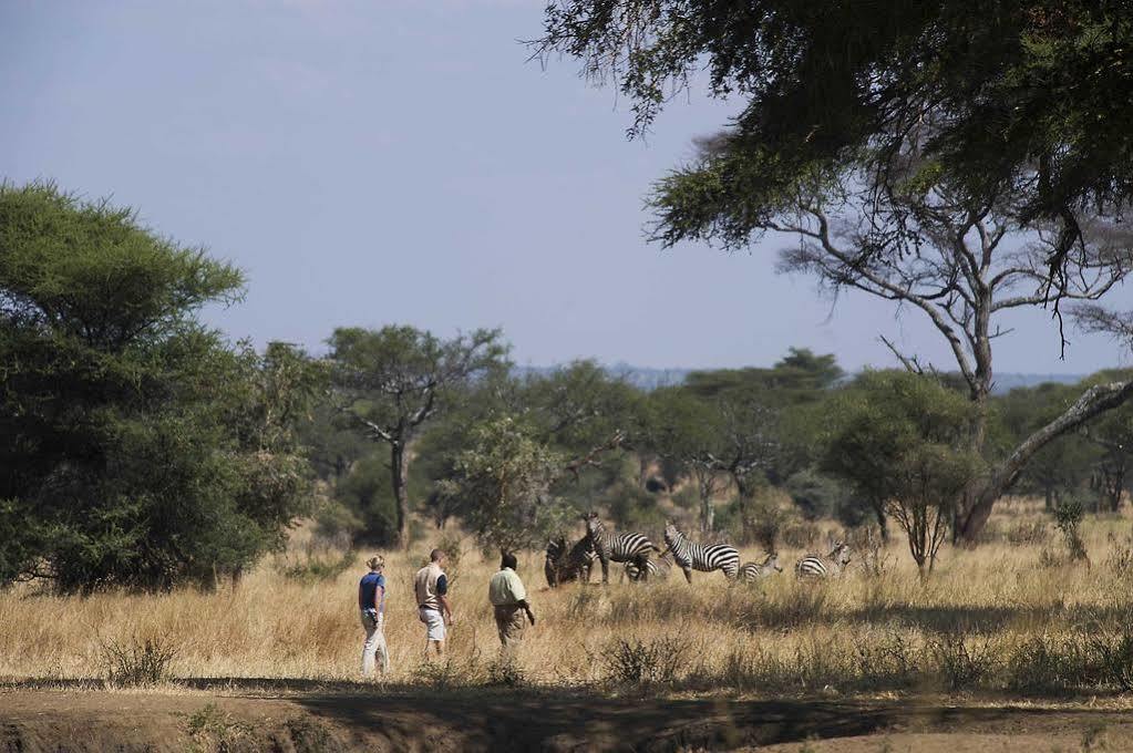 Sanctuary Swala Babati Exterior foto
